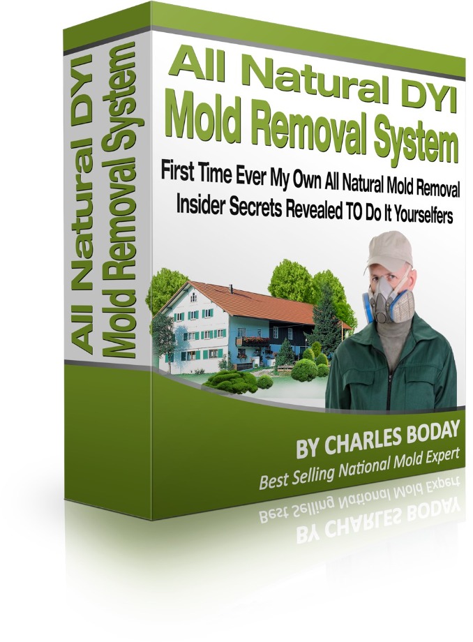 All Natural Mold Removal Kit Medium W | O fogger BioBlaster 